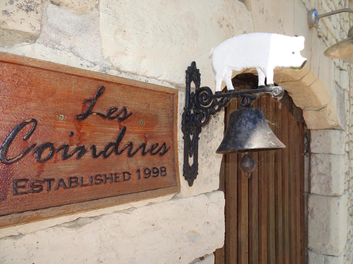Les Coindries Villa Faye-la-Vineuse Exteriör bild