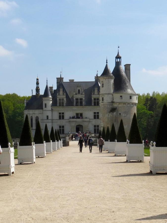 Les Coindries Villa Faye-la-Vineuse Exteriör bild